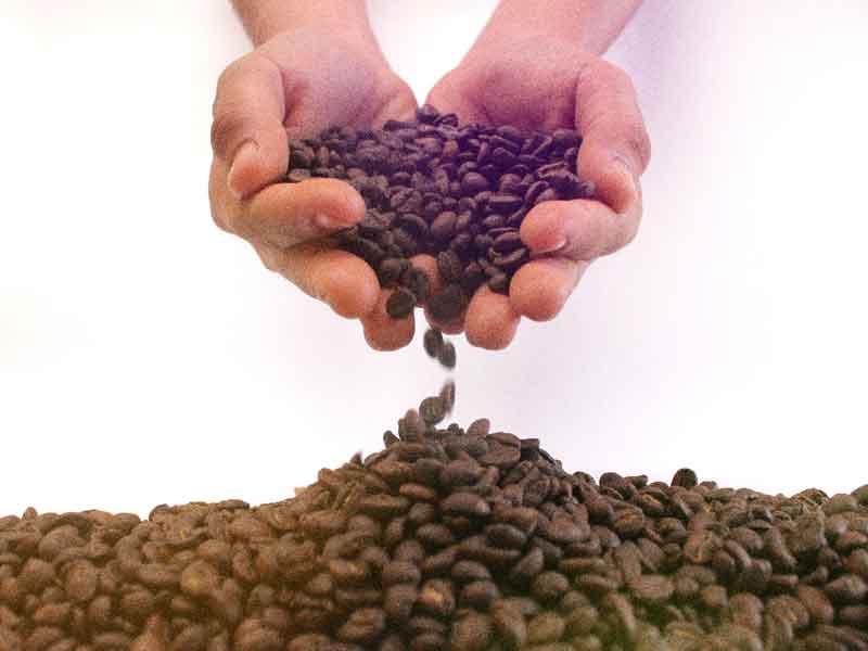 coffee beans being dropped